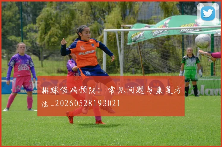排球伤病预防：常见问题与康复方法_20260528193021