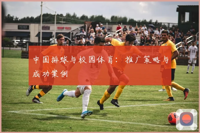 中国排球与校园体育:推广策略与成功案例